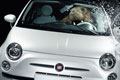   "Walrus" 
: Marcel Paris 
: Fiat 
Cannes Lions, 2009
Gold Lion Campaign (for Cars & Automotive Services)