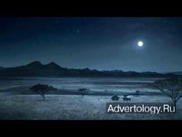  "Sleepwalking", : Coca-Cola
