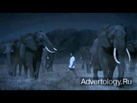  "Sleepwalking", : Coca-Cola