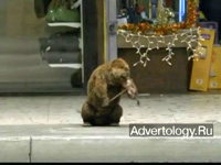  "Beaver", : Monster.com, : BBDO New York