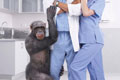   "Chimpanzee" 
: Saatchi & Saatchi Wellington 
: Wellington Zoo 
: Wellington Zoo 