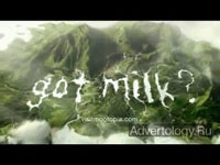  "Gorgeous Hair", : Milk, : Goodby, Silverstein & Partners