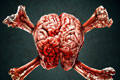   "Brain & Bones" 
: Adventa Lowe 
: Yo-Ho-Headhunting www.tcb.in.ua 
: The Career Builders 