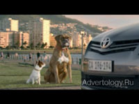  "Dogs", : Toyota, : DraftFCB South Africa