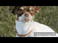  "Dogs", : Toyota, : DraftFCB South Africa