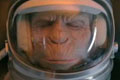  "Space Monkey" 
: Leo Burnett Sydney 
: WWF 
: WWF 