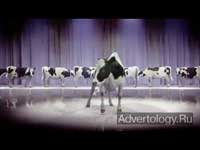  "Dancing Cows", : Cadbury