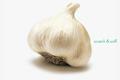   "Relentlessly Fresh Garlic" 
: Publicis 
: Procter & Gamble 
: Scope 