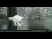  "Wind", : Gautrain, : JWT Johannesburg