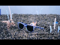  "Flowers", : Ray-Ban, : Cutwater