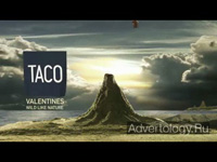  "Valentines", : Taco Jeans, : Script