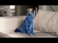  "Blue cat", : Smarties, : JWT Toronto