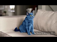  "Blue cat", : Smarties, : JWT Toronto