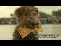  "Lucky Dog", : Lotto, : DDB New Zealand