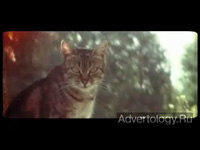 Телереклама "A Life", бренд: AIDES, агентство: TBWA Paris