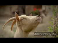  "Animal Farms", : Migros, : Jung von Matt / Limmat Werbeagentur AG