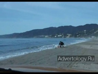  "Baywatch", : Arena, : Y&R Italia Srl