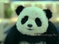  "Supermarket A", : Panda Cheese, : Advantage Marketing & Advertising Cairo