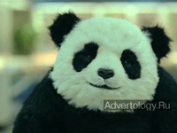  "Supermarket A", : Panda Cheese, : Advantage Marketing & Advertising Cairo