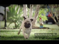  "Pug Attack", : Doritos, : Goodby, Silverstein & Partners