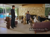  "Dog Sitter", : Bud Light, : DDB Chicago