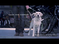  "Harness", : Royal Dutch Guide Dog Foundation, : Selmore