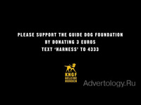  "Harness", : Royal Dutch Guide Dog Foundation, : Selmore