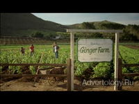  "Jack`s Ginger Farm", : Canada Dry, : Mcgarry Bowen