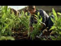  "Jack`s Ginger Farm", : Canada Dry, : Mcgarry Bowen