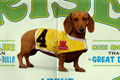   "Champion Will Rise" 
: DGWB Advertising & Communications 
: Wienerschnitzel Wiener Nationals 