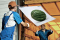   "Watermelon" 
: Mohallem/Artplan 
: Mais Printing House 
: Mais Printing House 