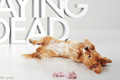   "Playing dead" 
: Bensimon Byrne 
: Paws for the Cause 