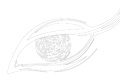 Печатная реклама "Eye, 2" 
Агентство: Draft FCB Ulka 
Рекламодатель: Bausch & Lomb 
Бренд: Bausch & Lomb 