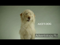  "Alice`s Dog", : Nike, : Wieden+Kennedy