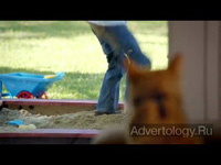  "Sand Box", : Shelter Pet Project, : DraftFCB